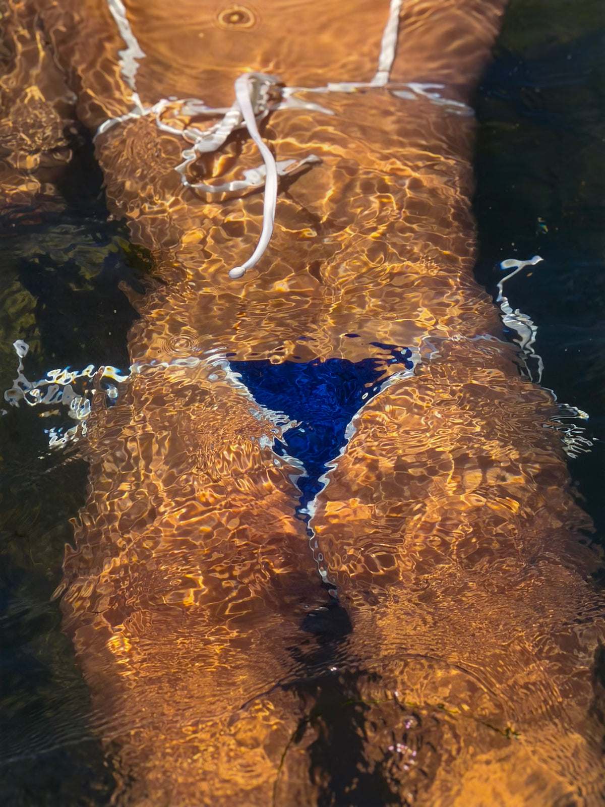 Bird Rock Bottoms Navy & White
